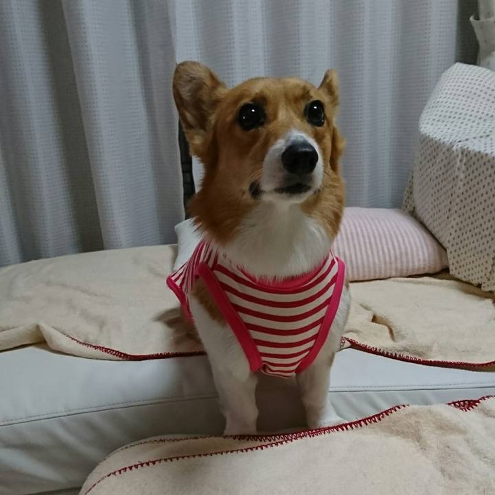 264b4db0 c6c3 4f34 bf89 5c660d656696