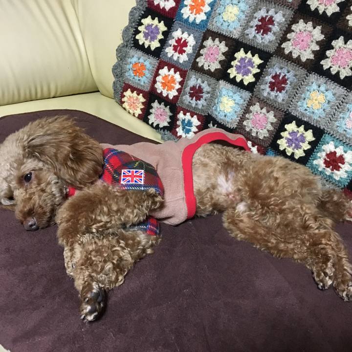 264bc978 5bba 484b 84dd 323b60c41906