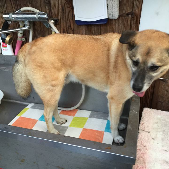 264c31d5 b8fc 44e6 a106 68f28f08c2bc