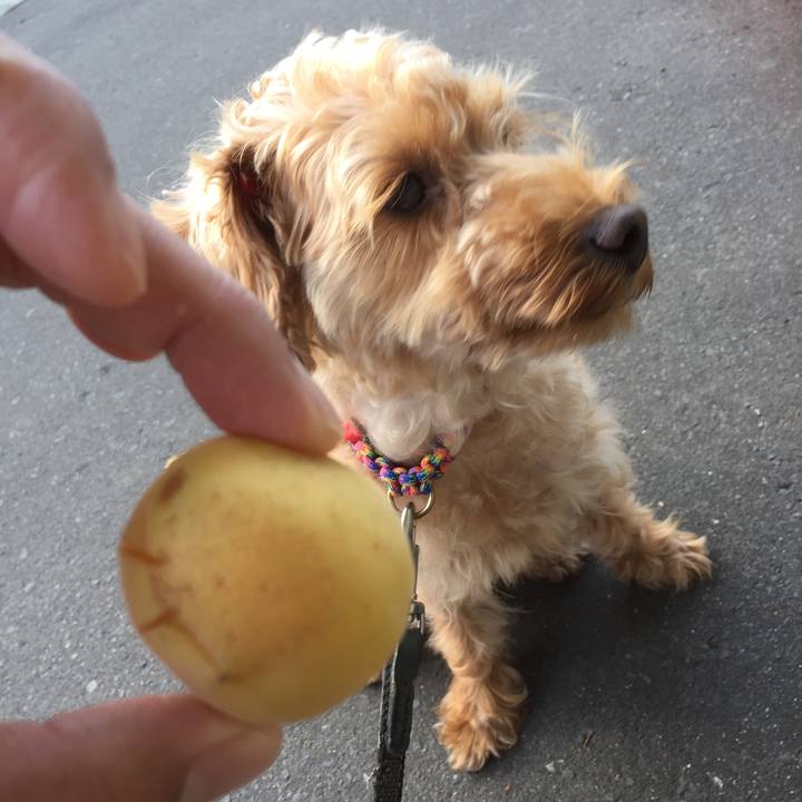 264c7c27 f04c 4be3 a24d 05505e4f8d3b