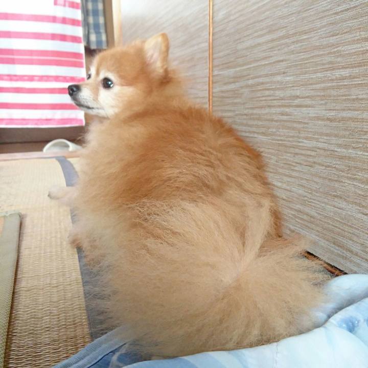 264cce42 8f09 42ab 9176 07c1292781e3