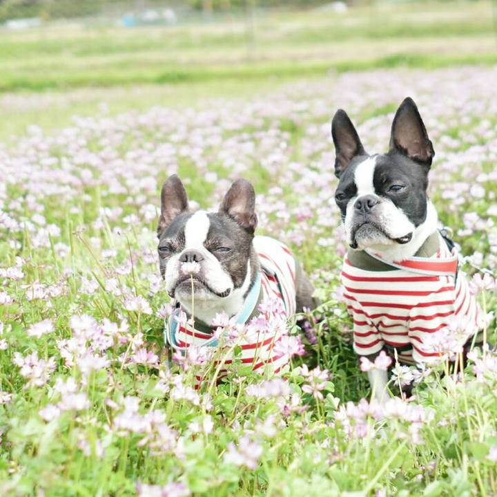 264ce467 f5c8 419e b3f4 22d3ba964c6d