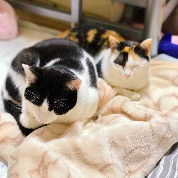 264d5928 b7b1 407a a57a 572e144cf51a