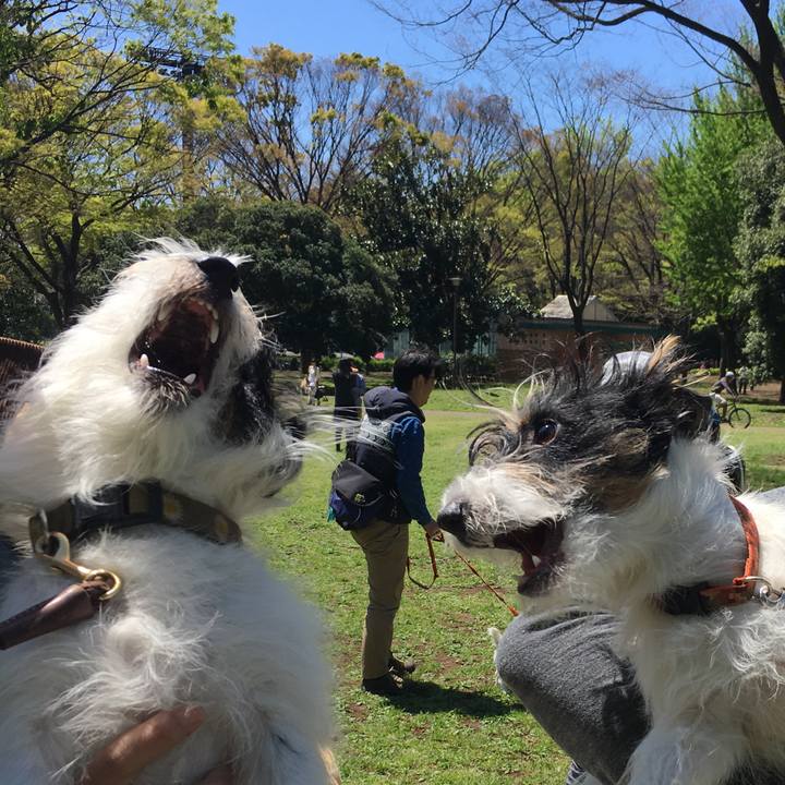 264d734c ce27 46fd b65e 93fbf594630d