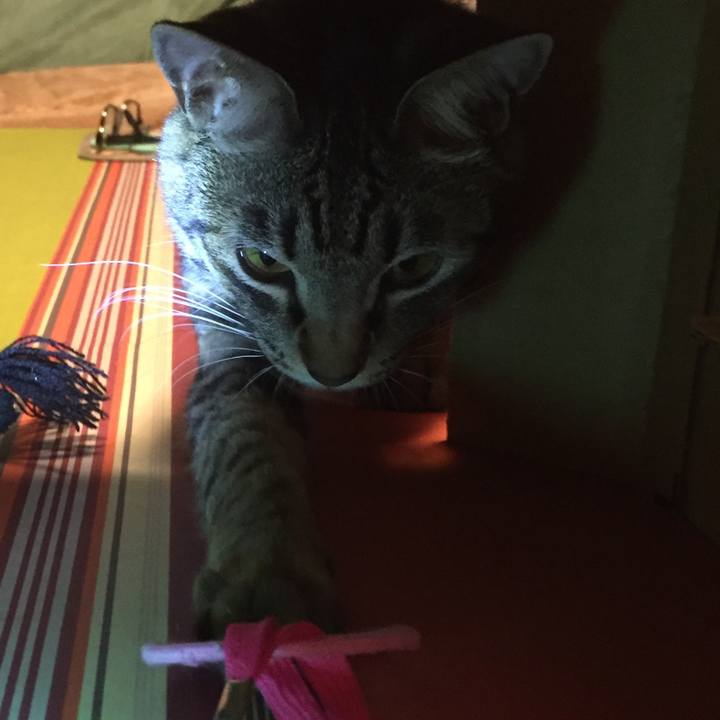 264d73ab 2fc7 4516 9a17 4fe39049a5dd