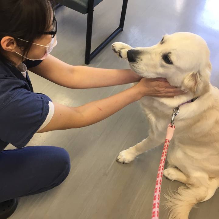 264f306c d83d 4922 b3ca e83fef8121c5