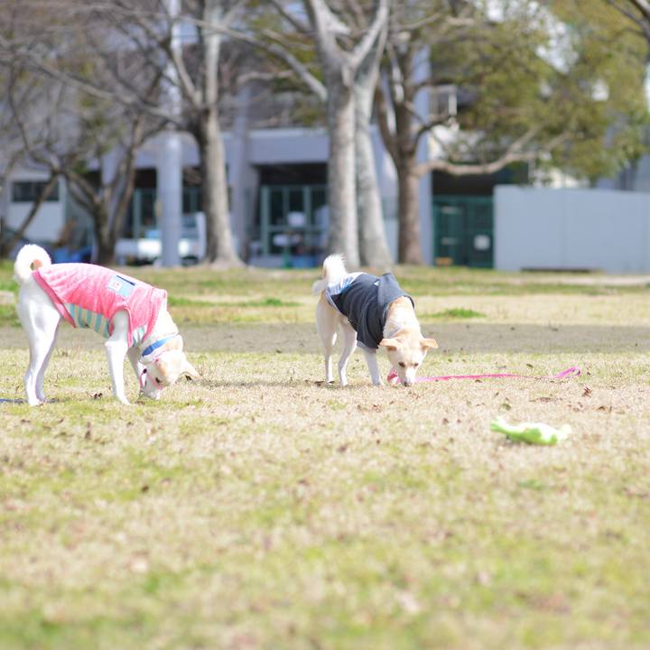 265075c4 2dfc 4a6c b2a0 09fd7b37f716