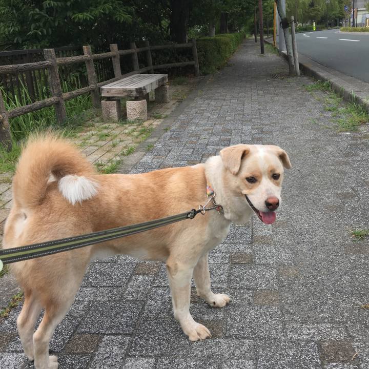 265115eb 7633 48fb 931f ffc885f28aef