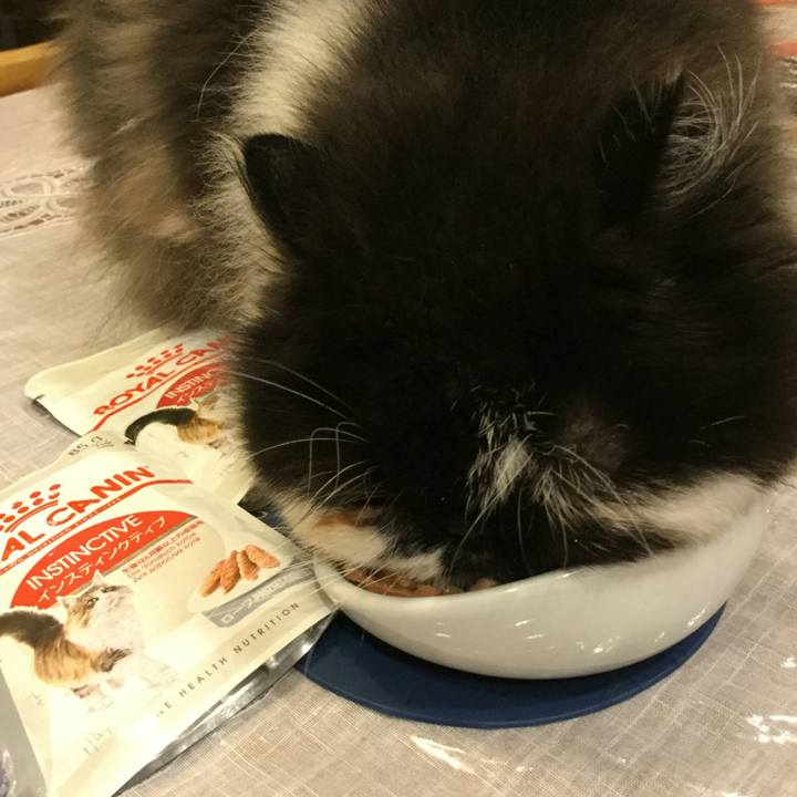 2651440e 8792 4d93 80c7 337bb3a61dff