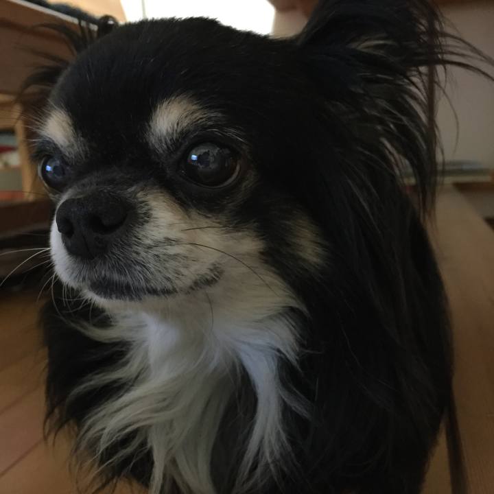 26517602 4f1d 4006 a8e5 aedda46197e3