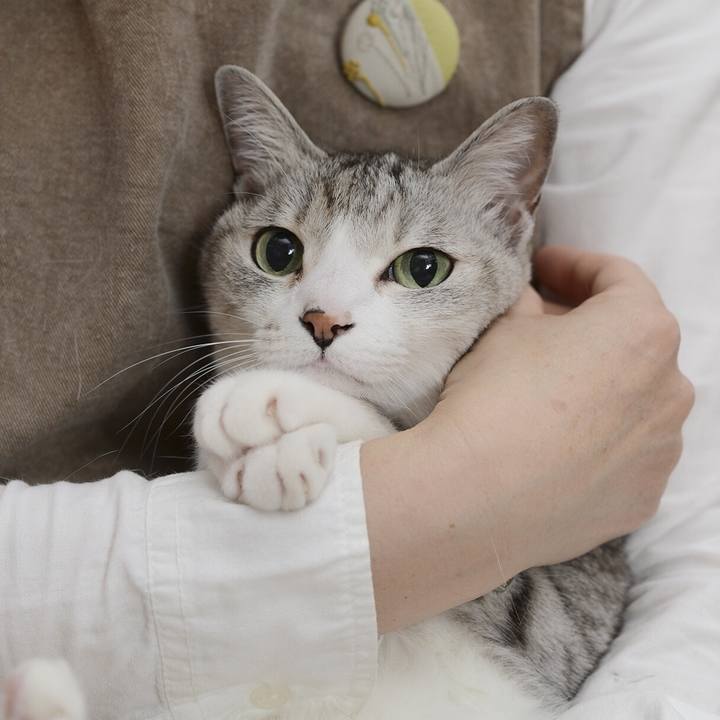 2651aaee 2ec5 41a4 a561 658bd6c7ee5e