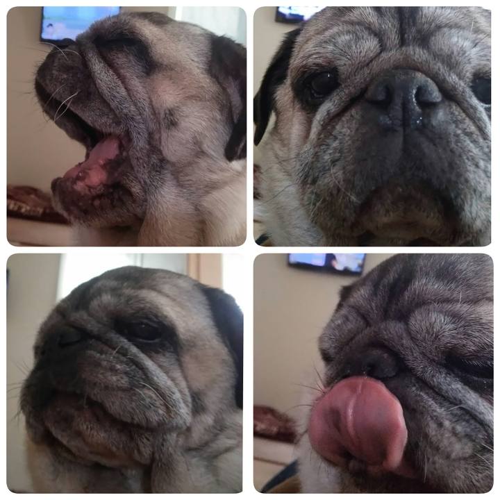 2651ab77 cc42 46bb 91f3 0b4da673035b