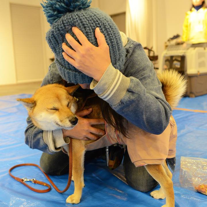 2651ec1e facf 47cc b48a 06d0c839e9fc