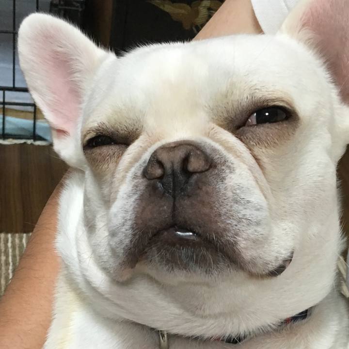 265309ff 32b7 4d2c a6b4 3c713548947c