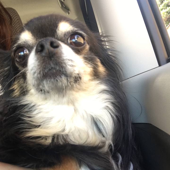 26533f41 976c 42b9 bd85 2a1020bfbb5c