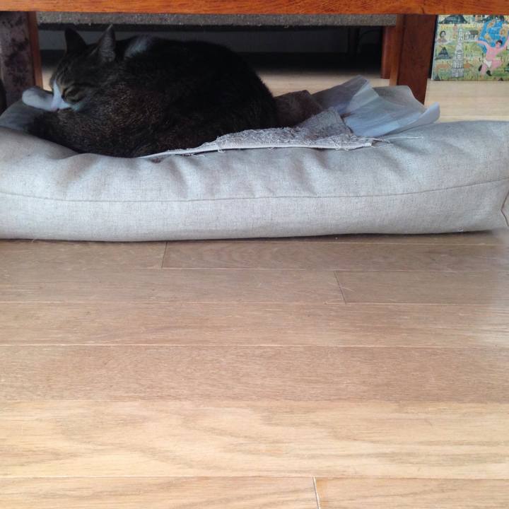 2653a58f 516b 4237 9d75 b13648c451b2