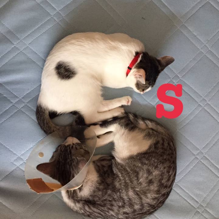 2653d79d e878 407c b502 a9f06beef1d5