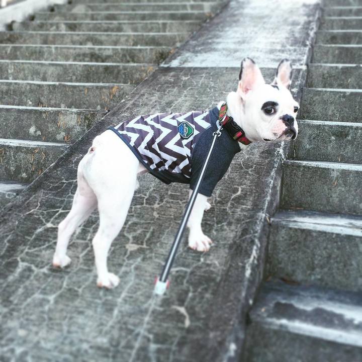 26540437 e039 4a28 ad54 016e0a6061c4