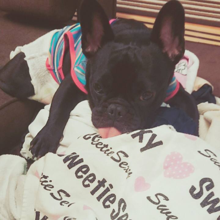 2654a9f4 31d6 4020 9107 e87e7512e9a3