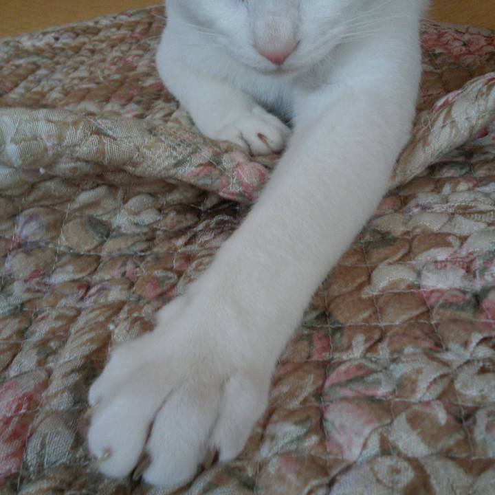 2654dfc7 bb7c 416d 9c79 ac4ed5ff0e3c