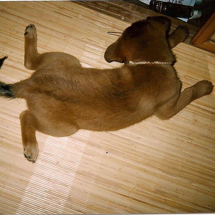 26550836 b314 4aac 91b2 698ac3fecf95