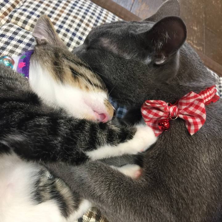 26552e41 dad0 4ef0 9af4 63fddacaf5e0