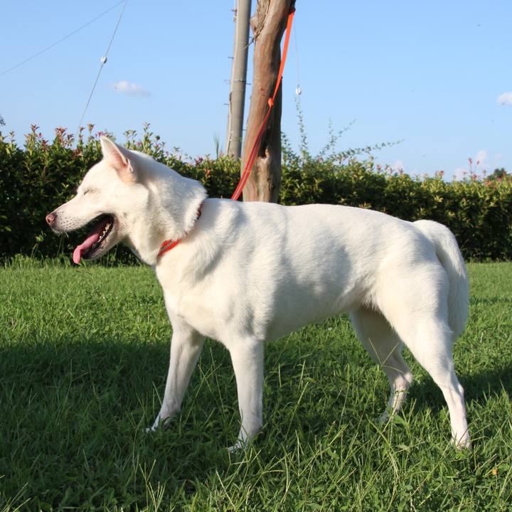 2655727b 8f9e 49b8 b3f8 ba3df9e1cb0a