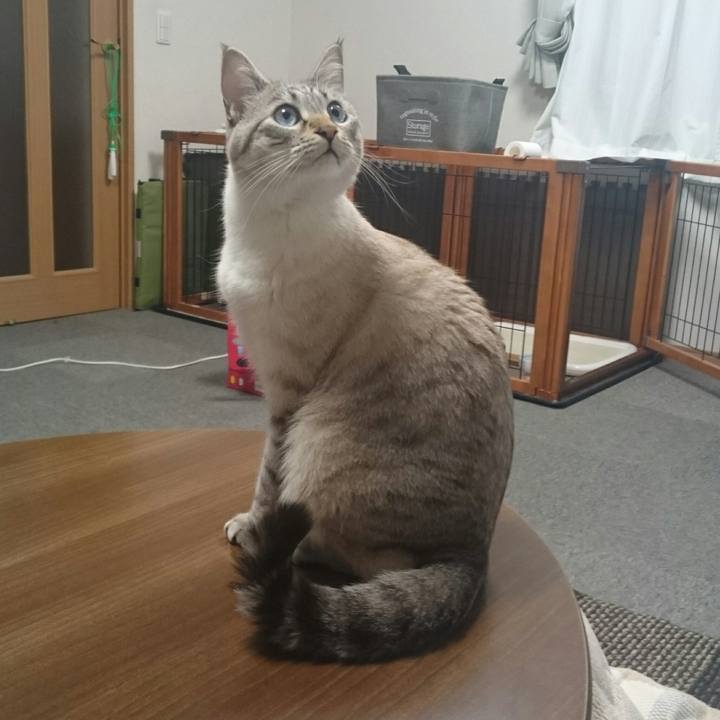 265582a1 20f6 4324 91a5 e050f6a163f6