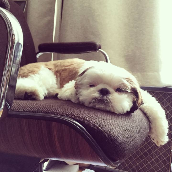 2655bcaa ad90 4579 992f 735ac43bbbdb