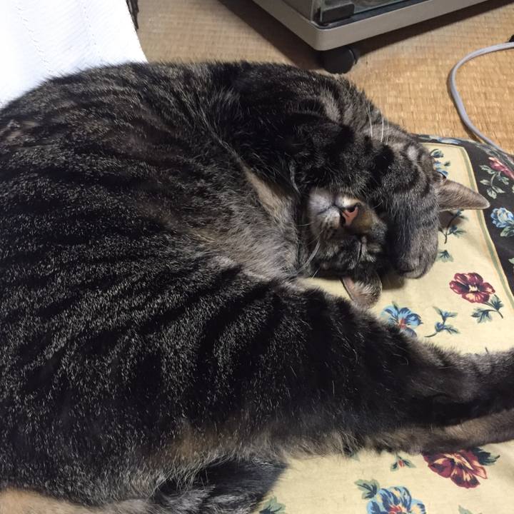 265609b6 08e6 4ac4 9810 6135afc4be86