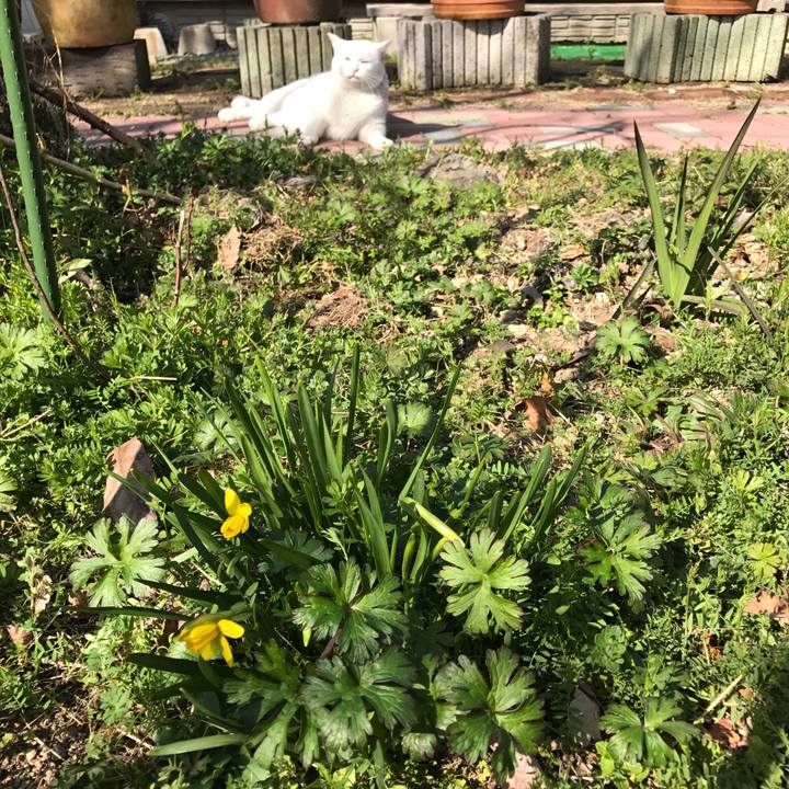 2656845f ee97 467a 8a52 8904dee4c1d9