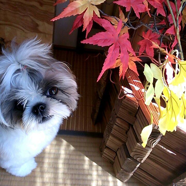 2656bbd7 4848 4798 a884 fcf081eb04be