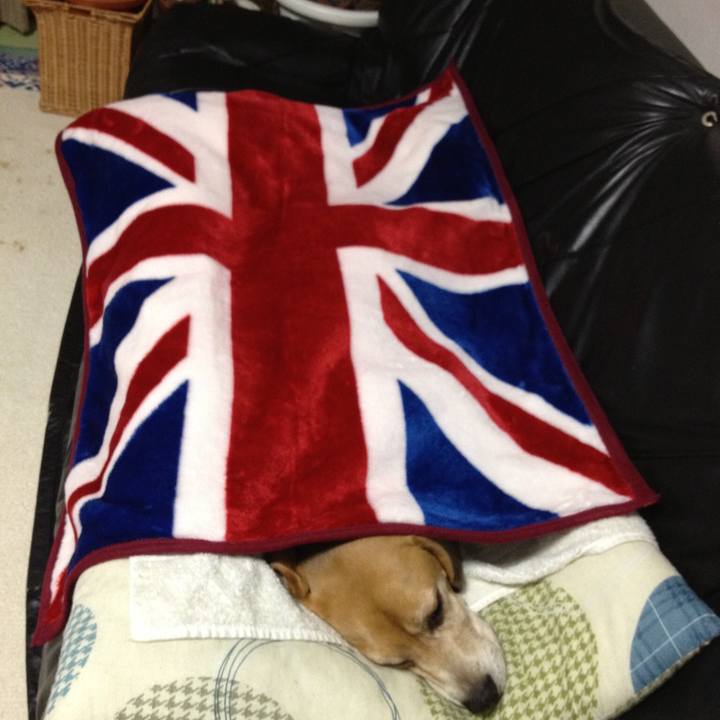 26577b18 ebb0 4c4e 8a78 b0b11c507908