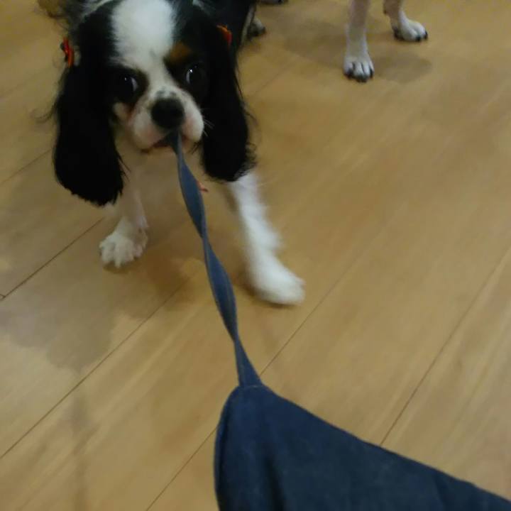 26577dd5 ca07 4d0c 88d6 2593951efdfc