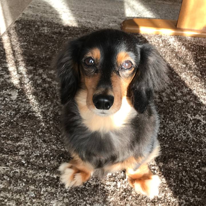 2657b305 8e54 4b2b 8df1 5b09f2128a98