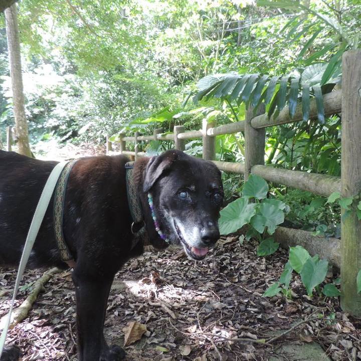 265846ec 63ea 41de b24e c51b12565d8b