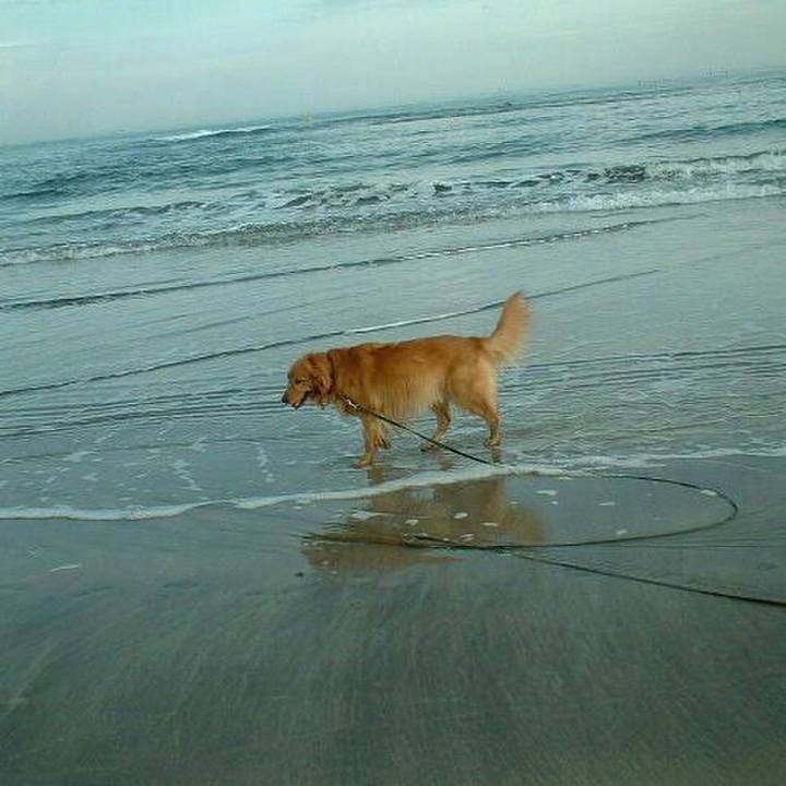 26587f88 8bea 466e 8013 3a06509ae8be