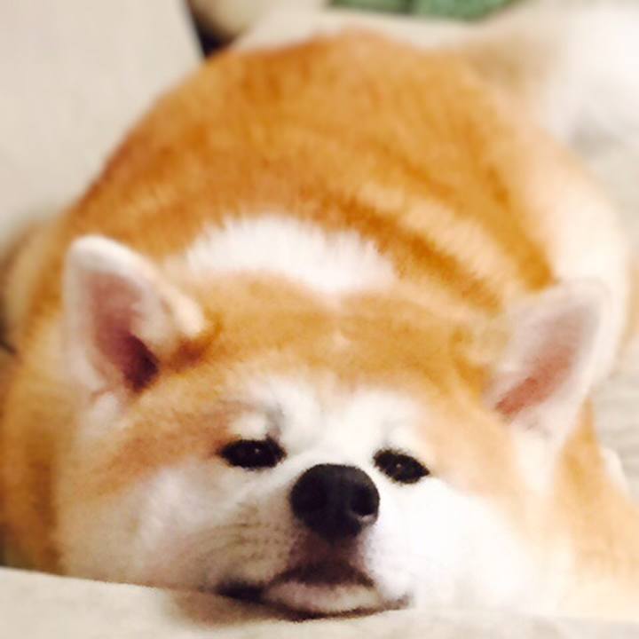 265908d3 1250 444a a8ef af66378ecce3