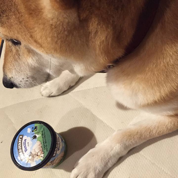 26596b01 807e 4d47 8a0f 2927bb7e3f91