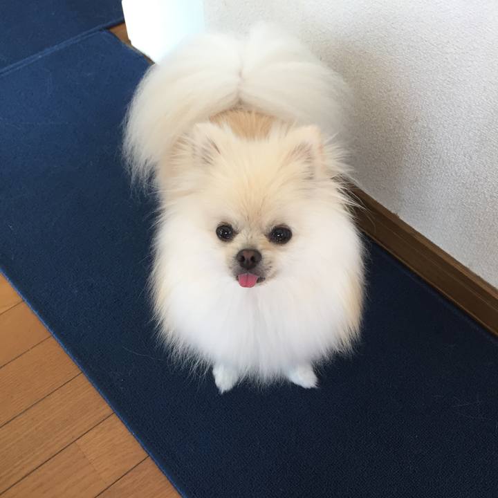 2659b378 6f8a 4f32 a24f 4685d9620984