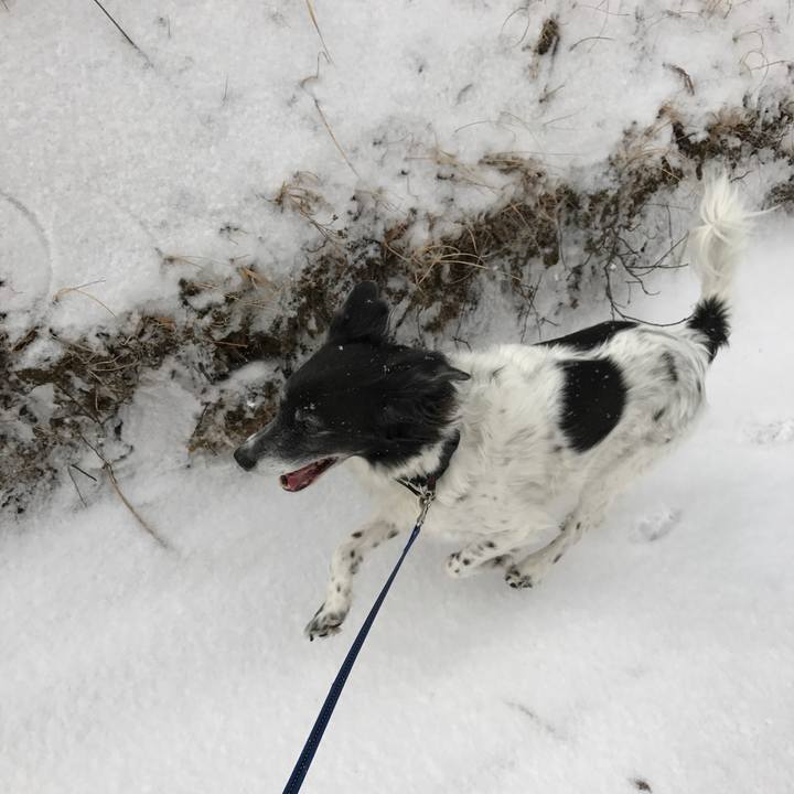 265a63f1 ecb9 42eb be48 63b47016ba99