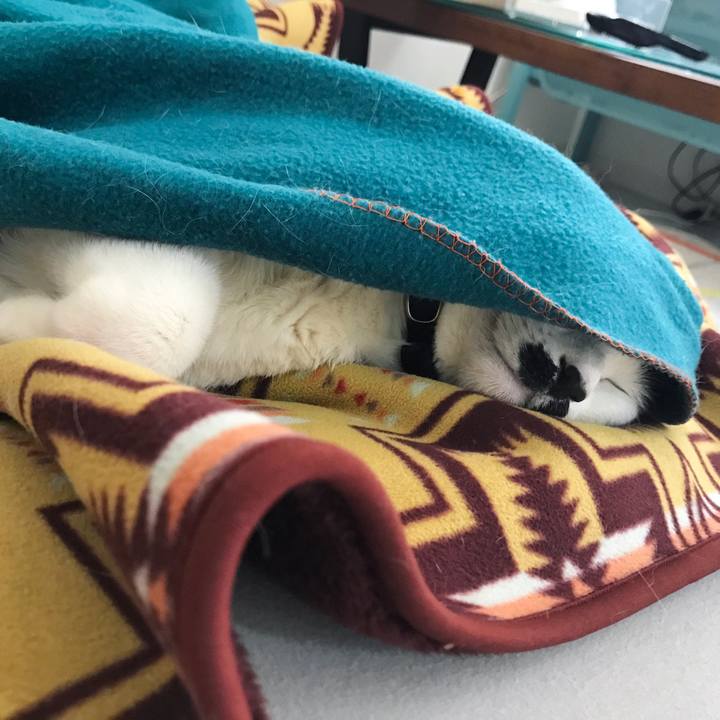 265b4200 55c1 4255 823b ae889dc8a132