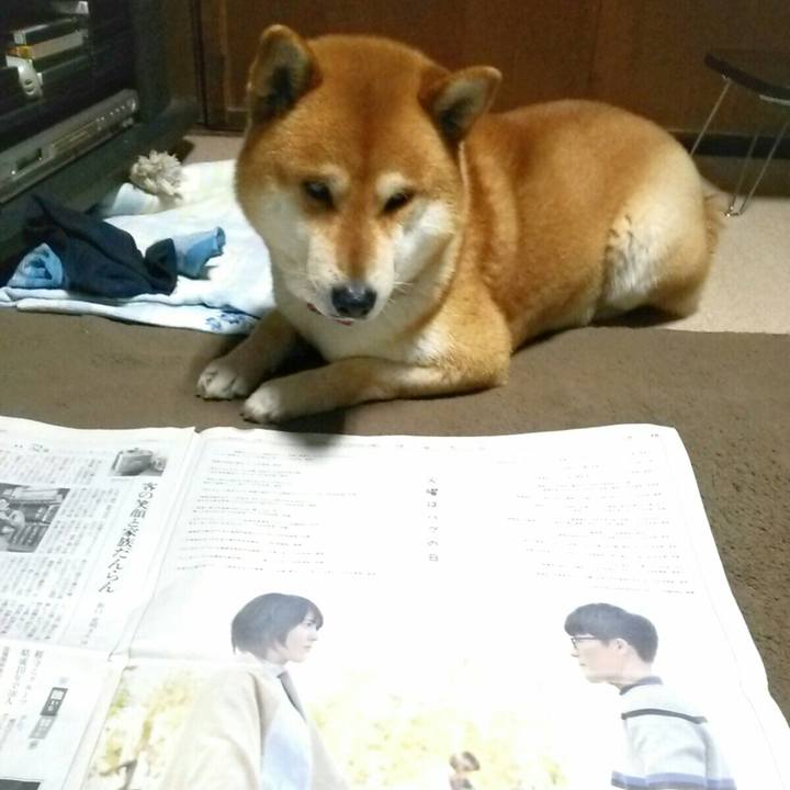 265b551a c2db 407b a7a4 31d4c03045f3