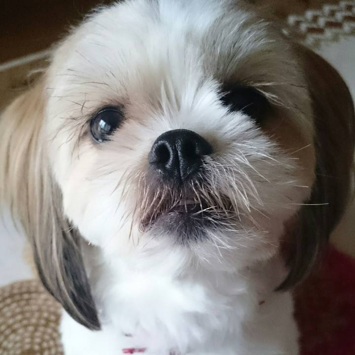 265b5ff0 23dc 4b87 b3f8 5a1dee870877