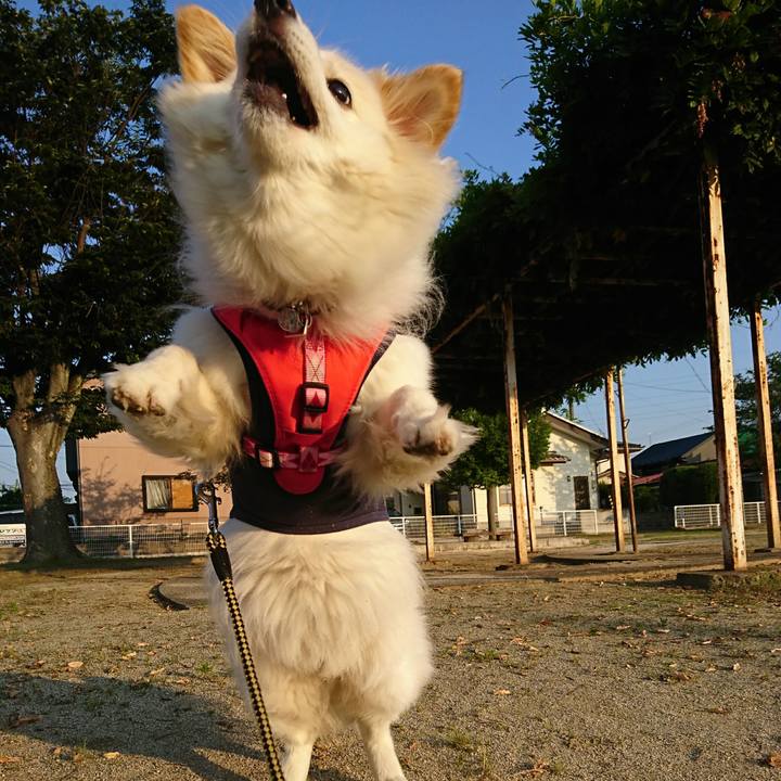 265be448 088d 42a1 a634 70f676676dbf