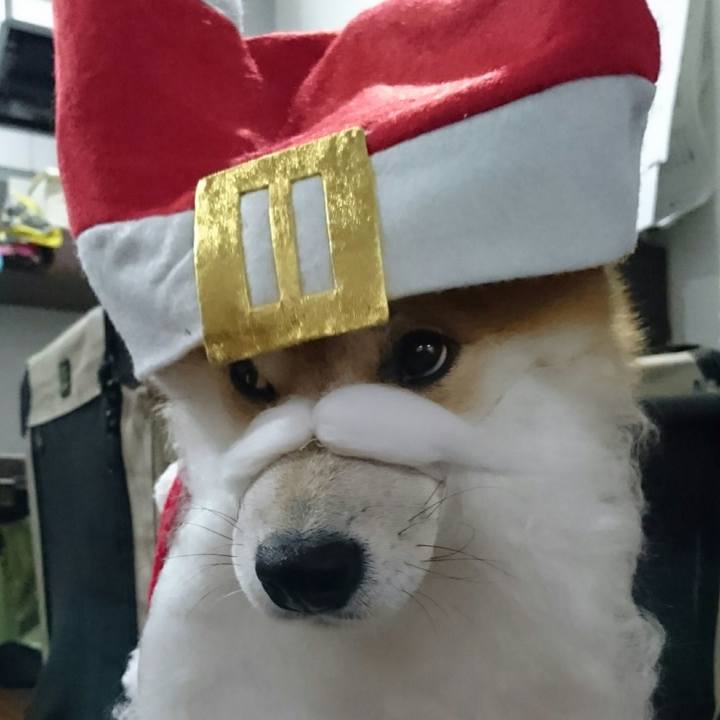 265bf7b1 7208 41d5 a1a7 d14b3bdbebfa