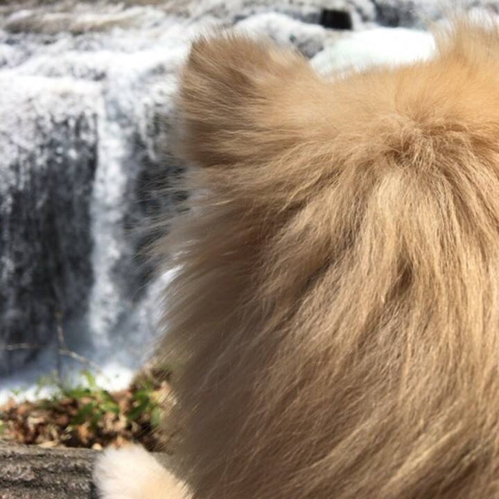 265c2bde fde1 471c b385 ec95d70d9dd8