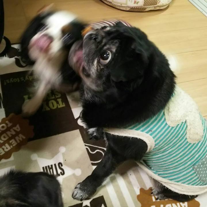 265c5e5c eb40 45d1 b533 1c5acaa8ce24