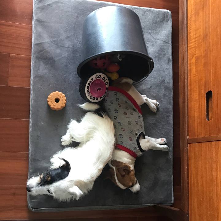 265ca29a e2b8 4fda 94ba 189edd9653ff