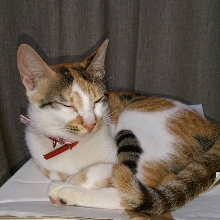 265d0dbb 1196 4562 862b 5cada4eb73a9